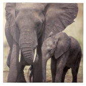 Afrika, Tansania, Tarangire-Nationalpark. 2 Fliese (Vorderseite)