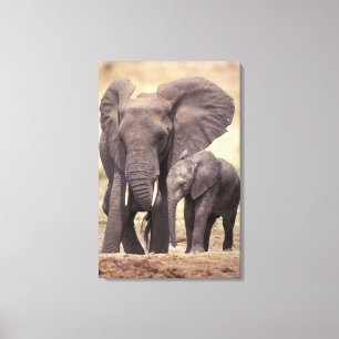 Afrika, Tansania, Tarangire-Nationalpark. 2 Leinwanddruck