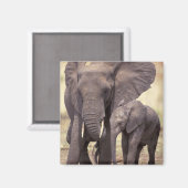 Afrika, Tansania, Tarangire-Nationalpark. 2 Magnet (Vorderseite/Rückseite)