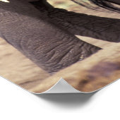 Afrika, Tansania, Tarangire-Nationalpark. 2 Poster (Ecke)