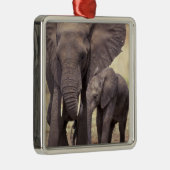 Afrika, Tansania, Tarangire-Nationalpark. 2 Silbernes Ornament (Rechts)