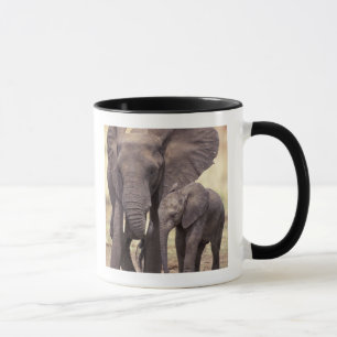 Afrika, Tansania, Tarangire-Nationalpark. 2 Tasse