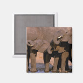 Afrika, Tansania, Tarangire-Nationalpark. Magnet (Vorderseite/Rückseite)