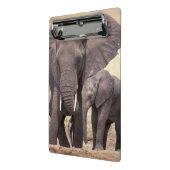 Afrika, Tansania, Tarangire-Nationalpark Mini Klemmbrett (Gewinkelt2)