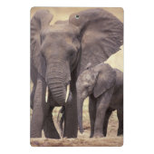 Afrika, Tansania, Tarangire-Nationalpark Mini Klemmbrett (Rückseite)