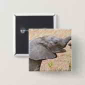 Afrika. Tansania Young Elephant in Tarangire Button (Vorne & Hinten)