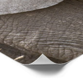 Afrika. Tansania Young Elephant in Tarangire Poster (Ecke)