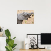 Afrika. Tansania Young Elephant in Tarangire Poster (Heimbüro)