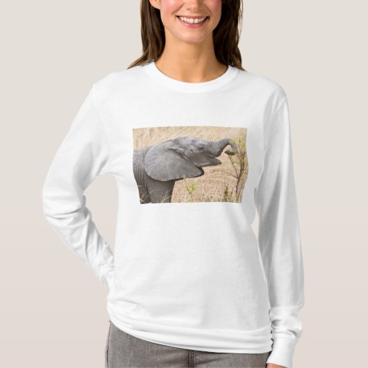 Afrika. Tansania Young Elephant in Tarangire T-Shirt (Vorderseite)