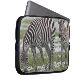 Afrika. Tansania Zebra Mutter und Colt Laptopschutzhülle (Vorne Rechts)