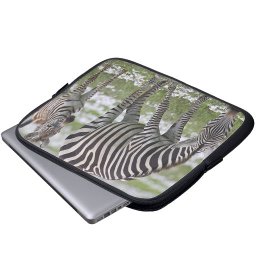 Afrika. Tansania Zebra Mutter und Colt Laptopschutzhülle (Vorne Knopf)