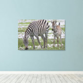 Afrika. Tansania Zebra Mutter und Colt Leinwanddruck (Insitu (Holzboden))