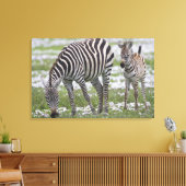Afrika. Tansania Zebra Mutter und Colt Leinwanddruck (Insitu (Wohnzimmer))