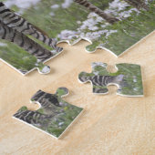 Afrika. Tansania Zebra Mutter und Colt Puzzle (Seite)
