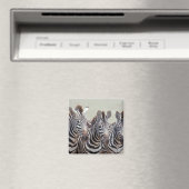 Afrika, Tansania, Zebras Magnet (In Situ (Geschirrspüler))