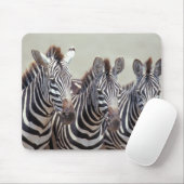 Afrika, Tansania, Zebras Mousepad (Mit Mouse)