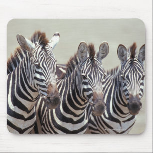 Afrika, Tansania, Zebras Mousepad