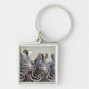 Afrika, Tansania, Zebras Schlüsselanhänger