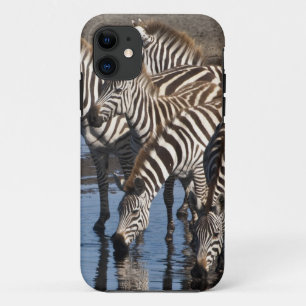 Afrika. Tansania. Zebras trinken bei Ndutu Case-Mate iPhone Hülle