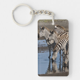 Afrika. Tansania. Zebras trinken bei Ndutu Schlüsselanhänger