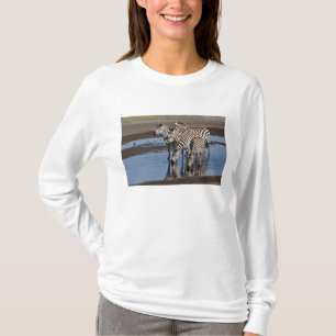 Afrika. Tansania. Zebras trinken bei Ndutu T-Shirt