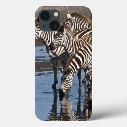 Afrika. Tansania Zebras trinken in Ndutu Case-Mate iPhone Hülle (Rückseite)