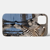 Afrika. Tansania Zebras trinken in Ndutu Case-Mate iPhone Hülle (Rückseite (Horizontal))