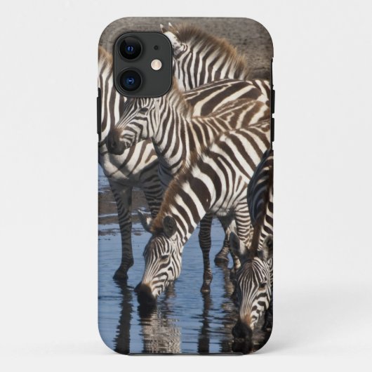 Afrika. Tansania Zebras trinken in Ndutu Case-Mate iPhone Hülle (Rückseite)