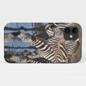 Afrika. Tansania Zebras trinken in Ndutu Case-Mate iPhone Hülle (Rückseite (Horizontal))