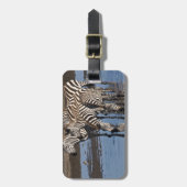 Afrika. Tansania Zebras trinken in Ndutu Gepäckanhänger (Vorderseite vertikal)