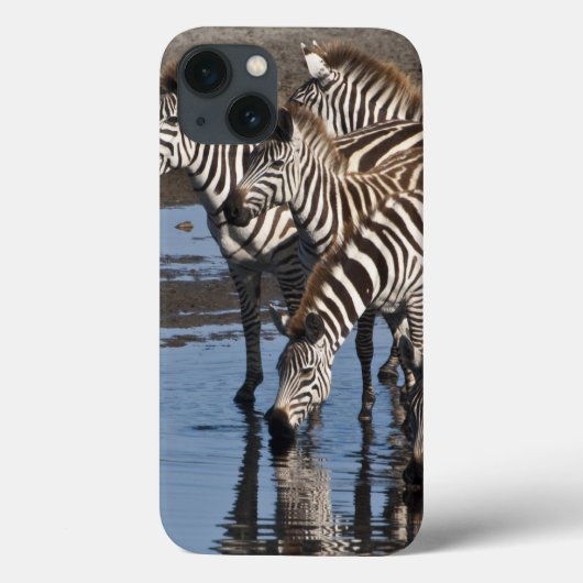 Afrika. Tansania Zebras trinken in Ndutu in Case-Mate iPhone Hülle (Rückseite)