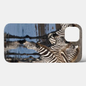 Afrika. Tansania Zebras trinken in Ndutu in Case-Mate iPhone Hülle (Rückseite (Horizontal))