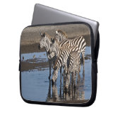 Afrika. Tansania Zebras trinken in Ndutu Laptopschutzhülle (Vorderseite Links)