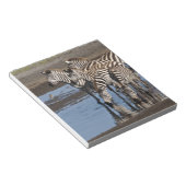 Afrika. Tansania Zebras trinken in Ndutu Notizblock (angewinkelt)