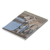 Afrika. Tansania Zebras trinken in Ndutu Notizblock (Rotiert)
