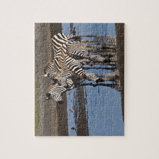 Afrika. Tansania Zebras trinken in Ndutu Puzzle (Vertikal)