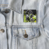 Afrika Uganda, Bwindi Button (Beispiel)