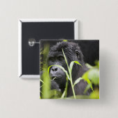 Afrika Uganda, Bwindi Button (Vorne & Hinten)