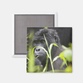 Afrika Uganda, Bwindi Magnet (Vorderseite/Rückseite)