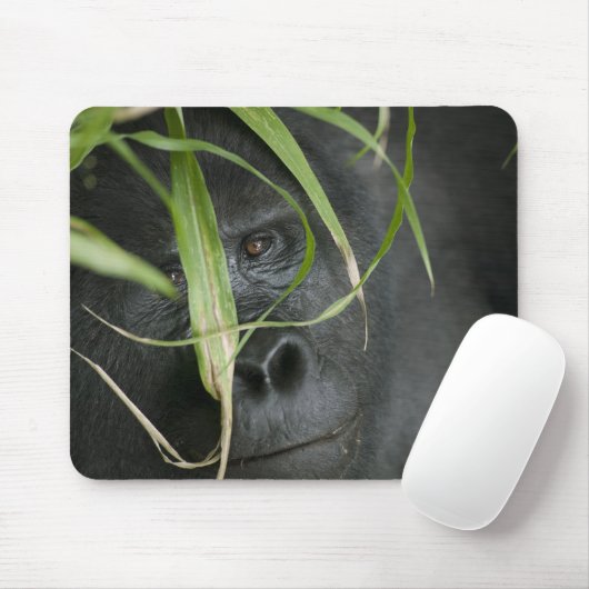 Afrika, Uganda, Bwindi Mousepad (Mit Mouse)