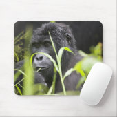 Afrika Uganda, Bwindi Mousepad (Mit Mouse)