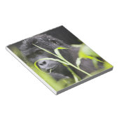 Afrika Uganda, Bwindi Notizblock (angewinkelt)