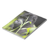 Afrika Uganda, Bwindi Notizblock (Rotiert)