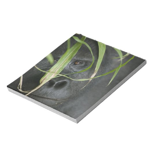 Afrika, Uganda, Bwindi Notizblock (Rotiert)