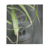 Afrika, Uganda, Bwindi Notizblock (Vorderseite)