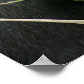 Afrika, Uganda, Bwindi Poster (Ecke)