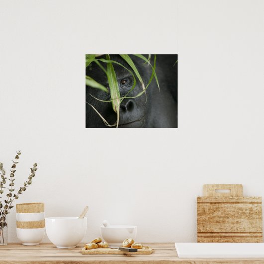Afrika, Uganda, Bwindi Poster (Küche)