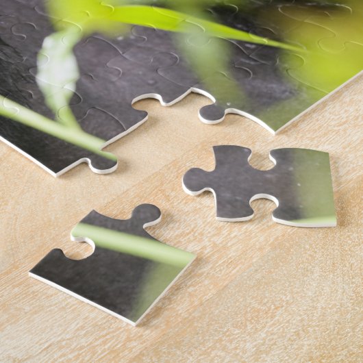 Afrika Uganda, Bwindi Puzzle (Seite)