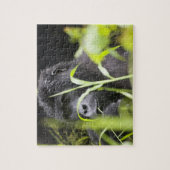 Afrika Uganda, Bwindi Puzzle (Vertikal)