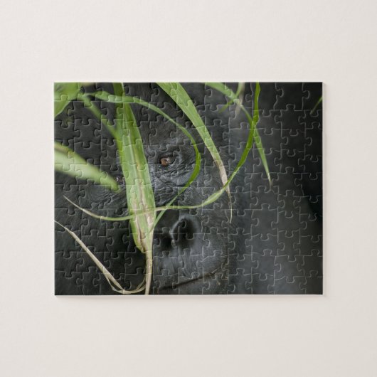 Afrika, Uganda, Bwindi Puzzle (Horizontal)